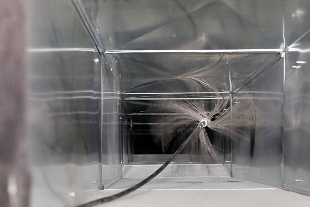 Best Dryer Vent Cleaning Services  in Auburn, KY