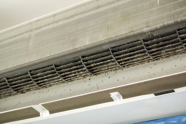 Best Affordable Air Duct Cleaning  in Auburn, KY